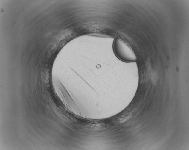 X0000060740646200512081919