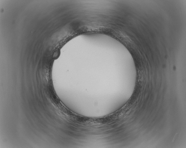 X0000060740648200512081919