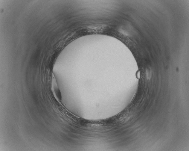 X0000060740649200512081919