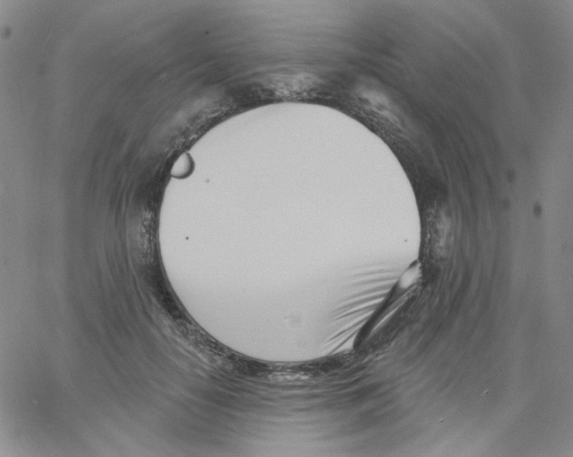 X0000060740650200512081919