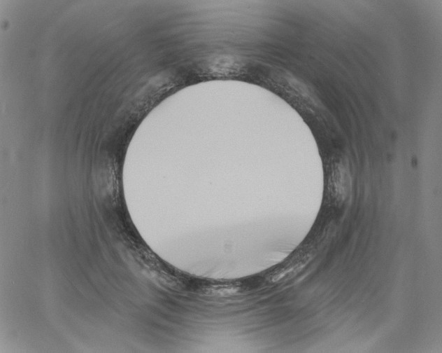 X0000060740651200512081919