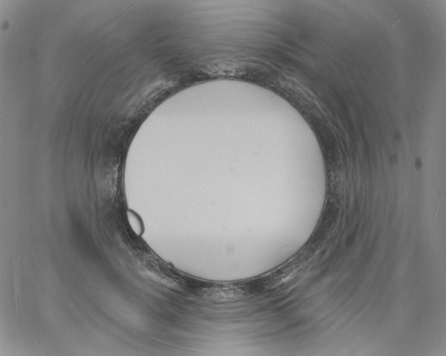 X0000060740652200512081919