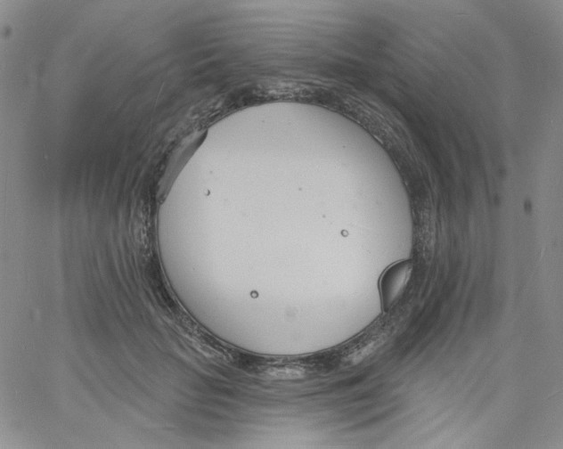 X0000060740653200512081919