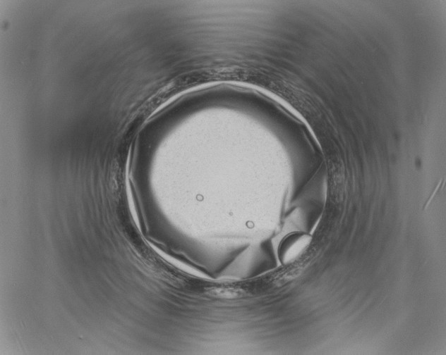 X0000060740654200512081919