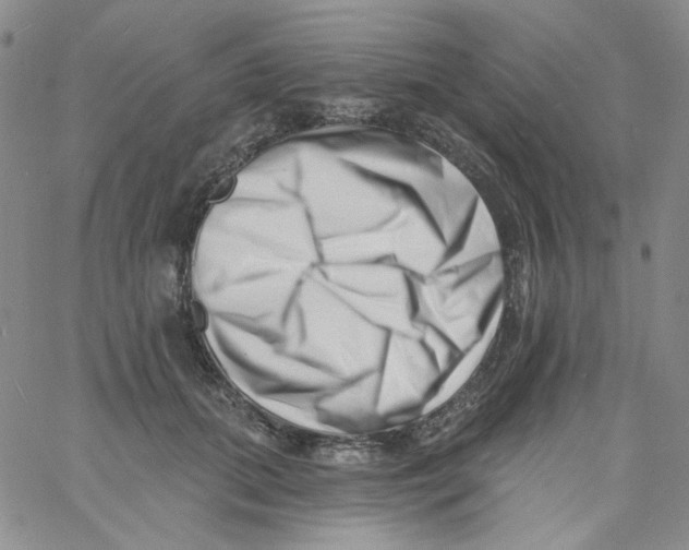 X0000060740655200512081919