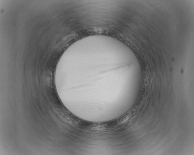 X0000060740656200512081919