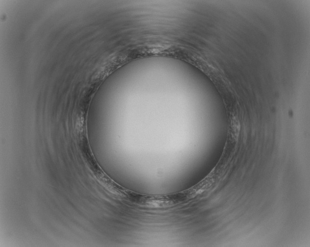 X0000060740657200512081919