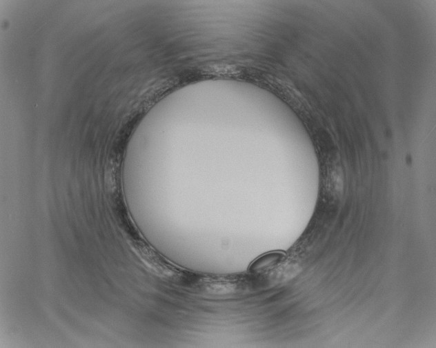 X0000060740658200512081919