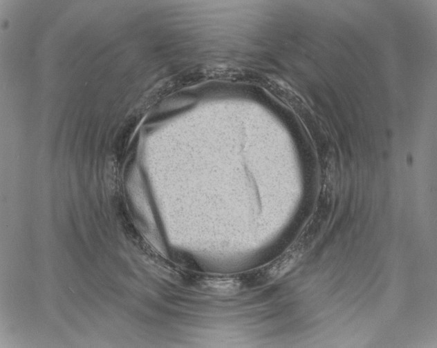 X0000060740659200512081919