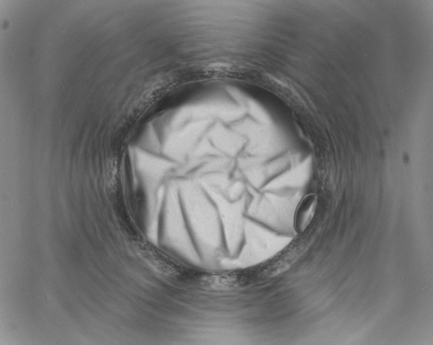 X0000060740660200512081919