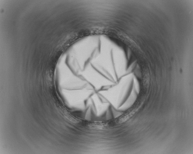 X0000060740661200512081919