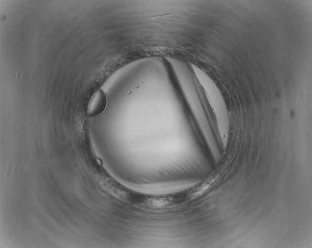 X0000060740662200512081919