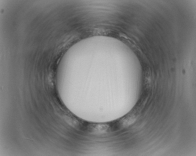 X0000060740663200512081919