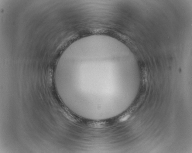 X0000060740664200512081919