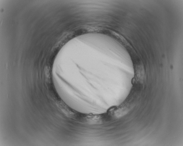 X0000060740667200512081919