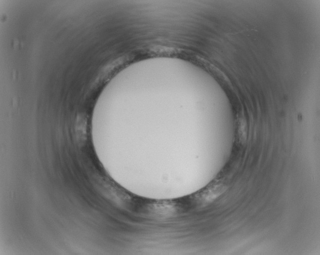 X0000060740668200512081919