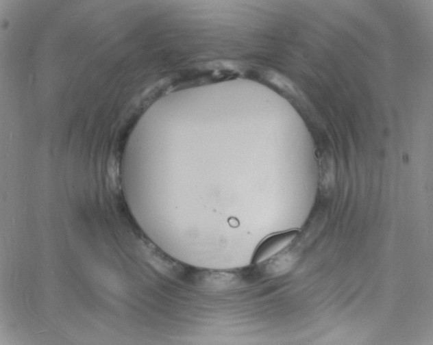 X0000060740669200512081919