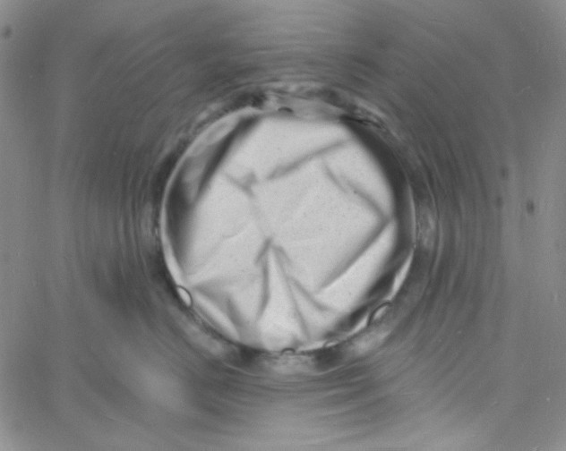 X0000060740670200512081919