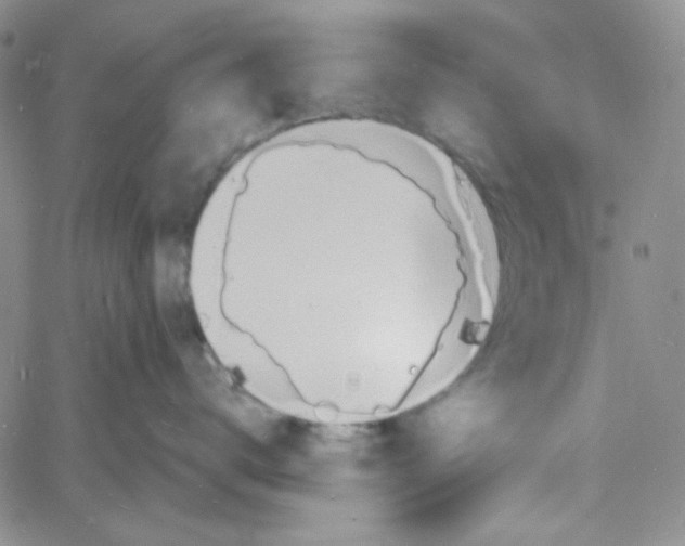 X0000060740672200512081919