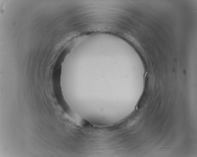 X0000060740673200512081918