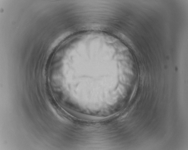 X0000060740674200512081918