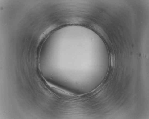 X0000060740675200512081918