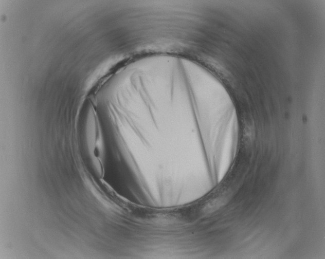 X0000060740678200512081918