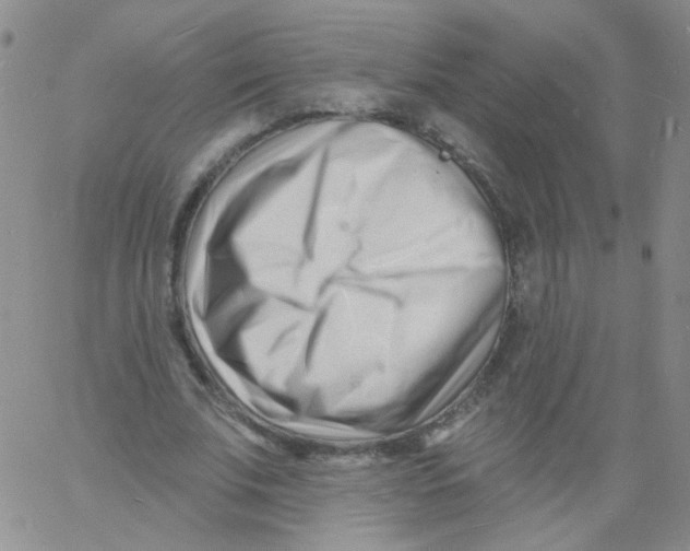 X0000060740679200512081918