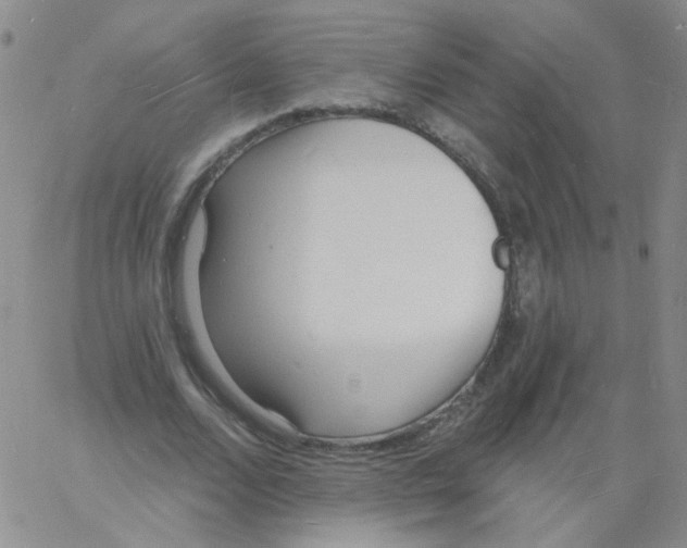 X0000060740680200512081918