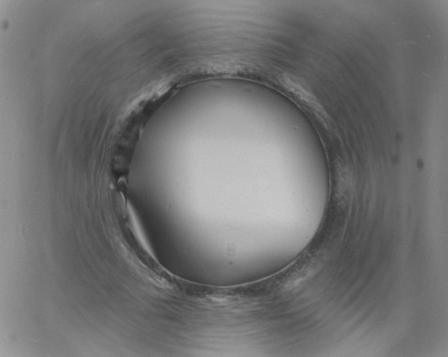 X0000060740681200512081918