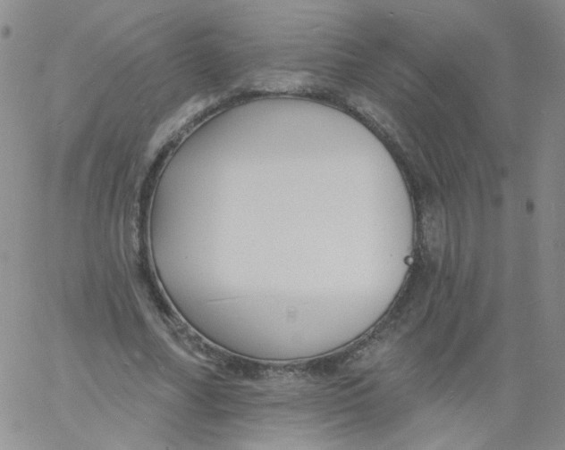 X0000060740682200512081918