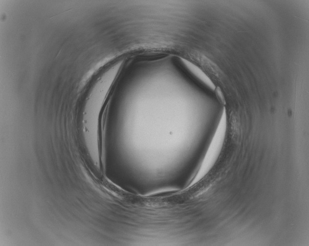 X0000060740684200512081918