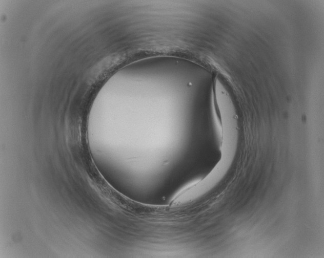 X0000060740685200512081918