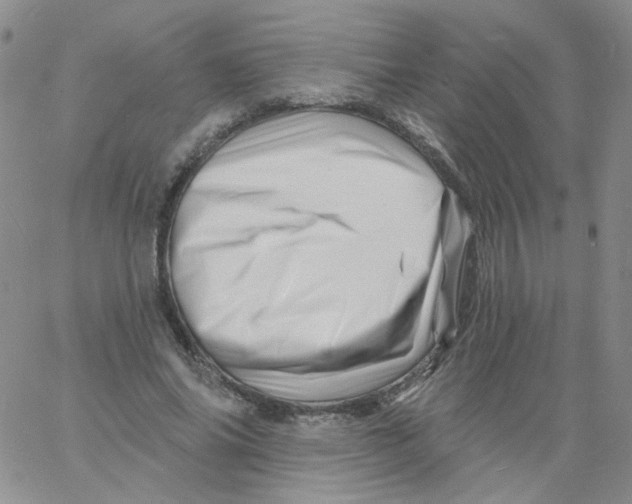 X0000060740686200512081918