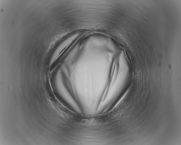 X0000060740688200512081918