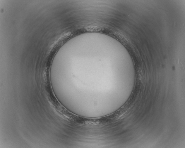 X0000060740690200512081918