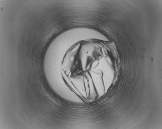 X0000060740691200512081918