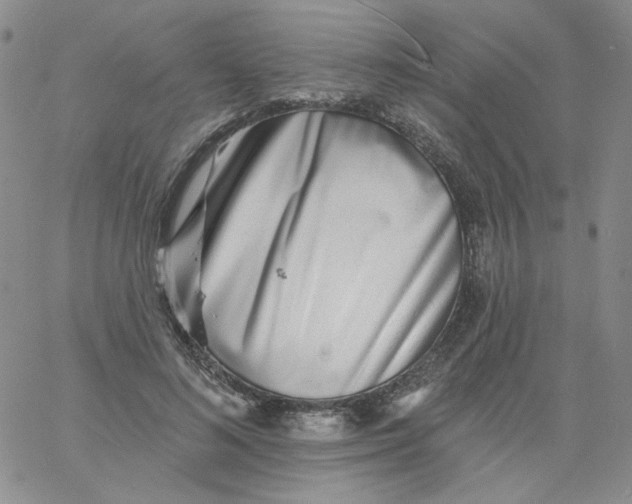 X0000060740692200512081918