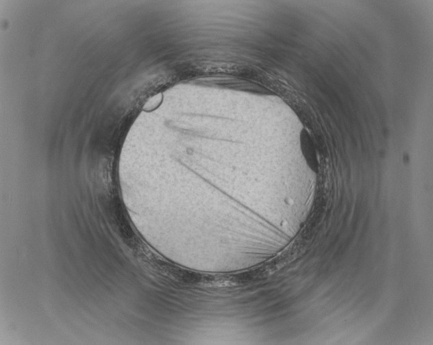 X0000060740695200512081918