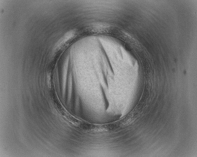 X0000060740696200512081918