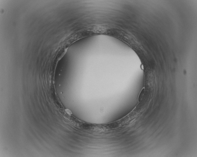 X0000060740697200512081918