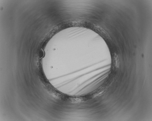 X0000060740698200512081918