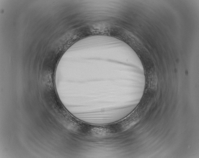 X0000060740699200512081918