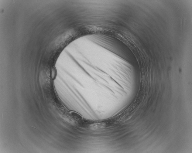 X0000060740700200512081918