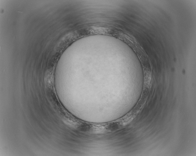 X0000060740701200512081918