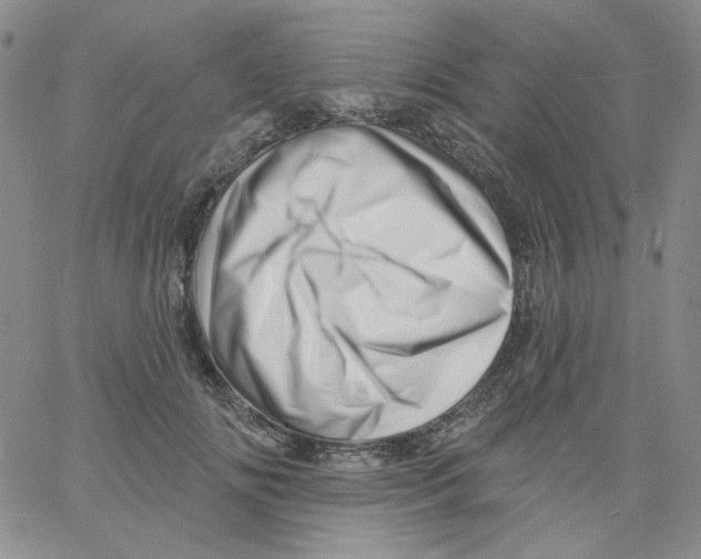 X0000060740702200512081918