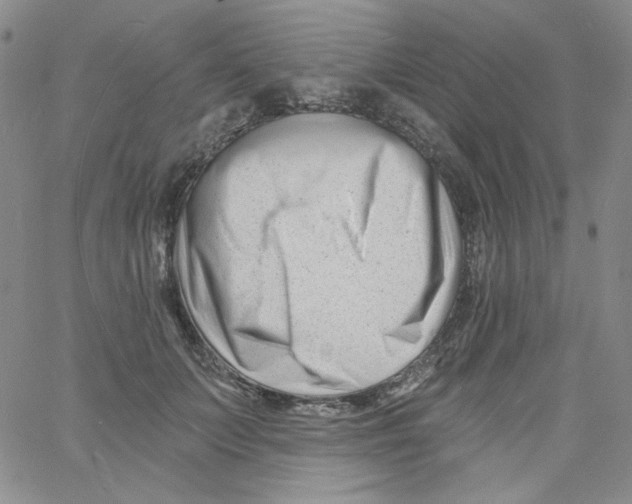 X0000060740703200512081918