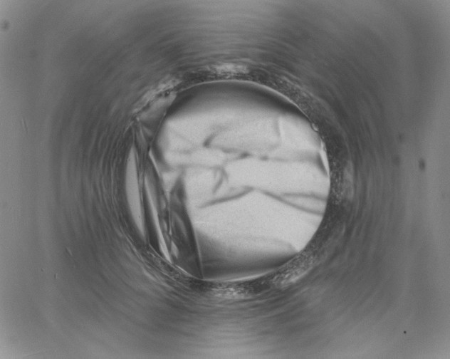 X0000060740704200512081918