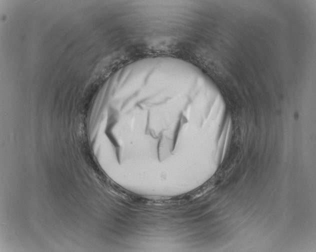 X0000060740706200512081918