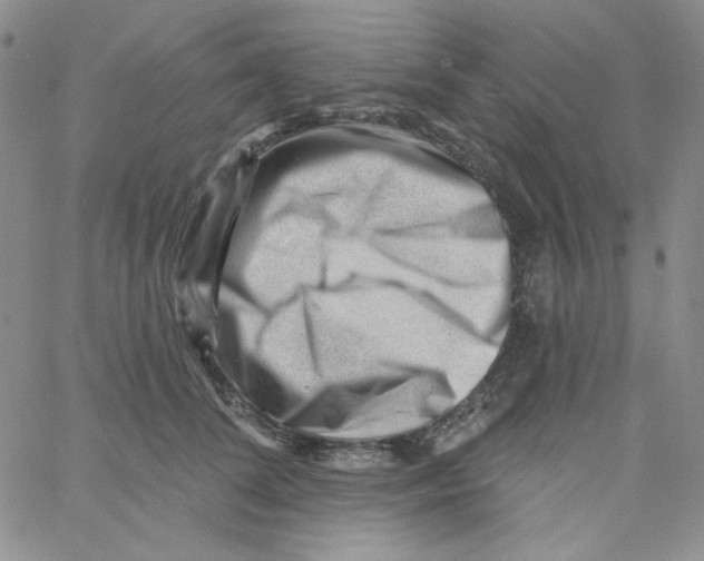 X0000060740708200512081918